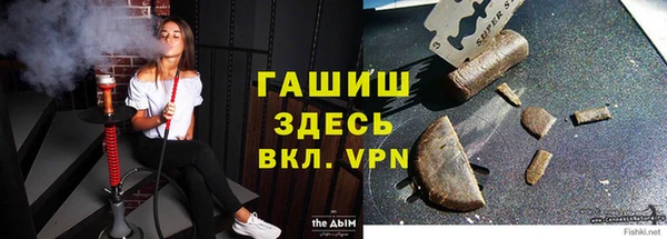 стаф Баксан