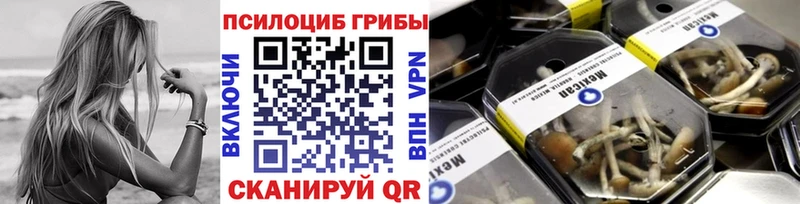 закладка  Пионерский  Псилоцибиновые грибы MAGIC MUSHROOMS 