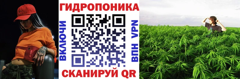 Конопля конопля  kraken зеркало  Пионерский 